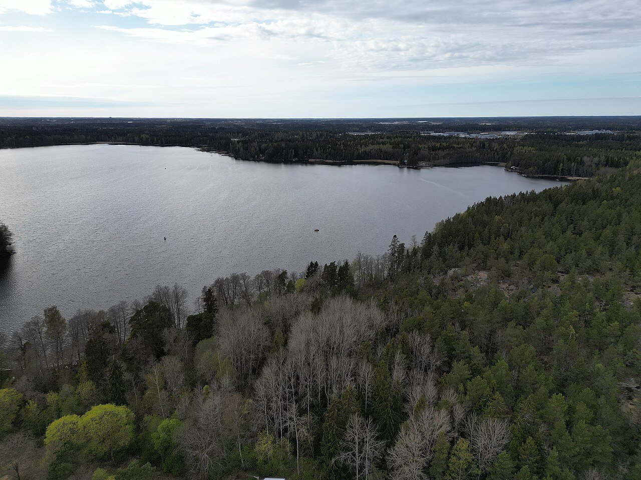 Littoistenjärven selkää ja metsäistä rantaa