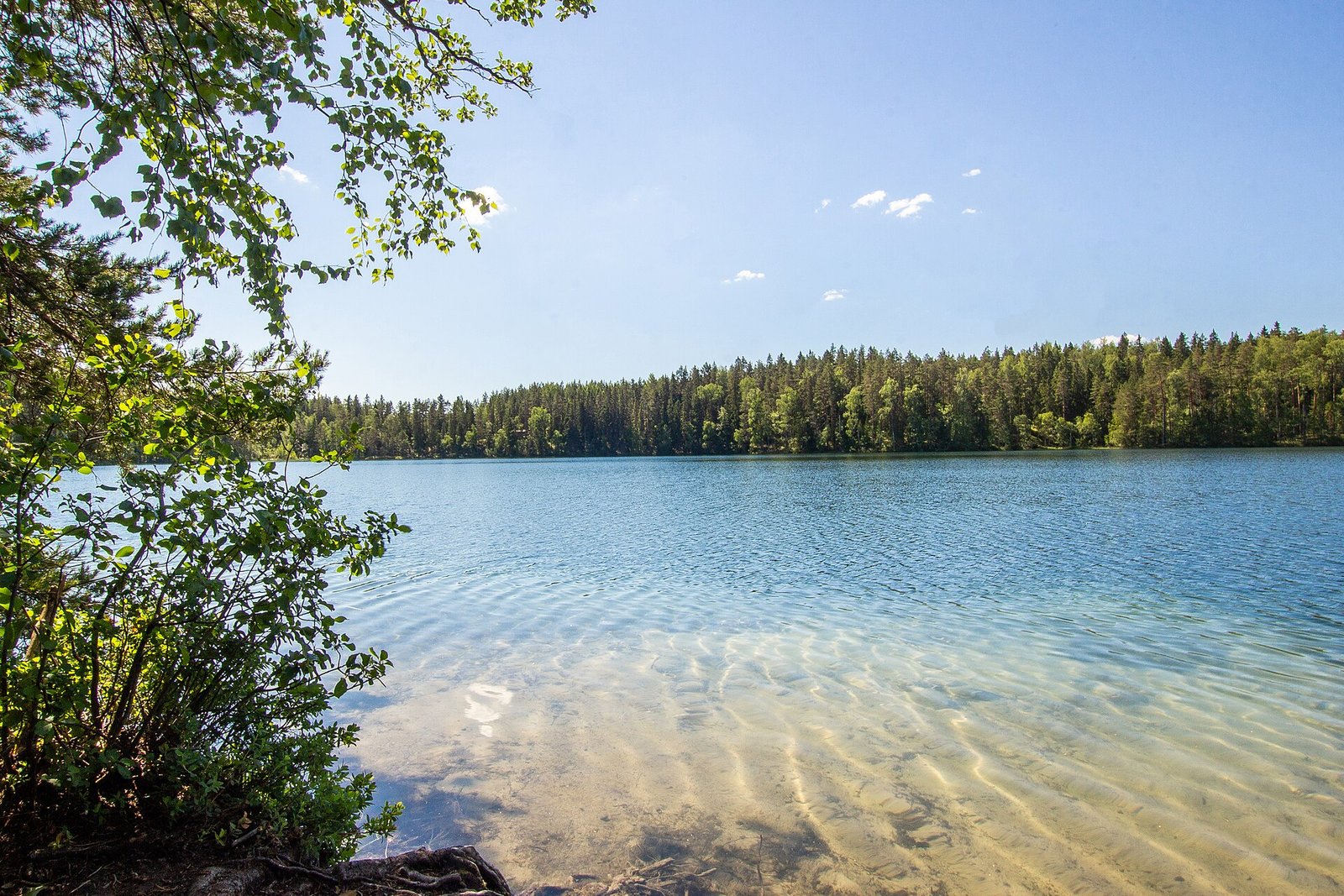 Kirkasvetinen harjujärvi kesäpäivänä