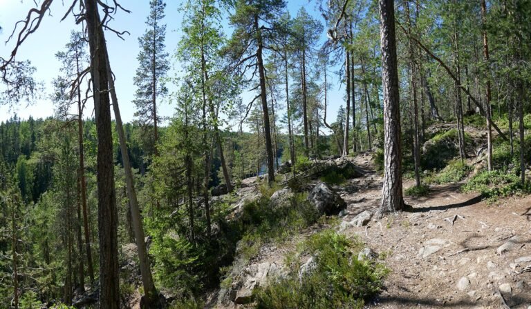 Metsäpolku ja kallioita Helvetinjärven kansallispuistossa